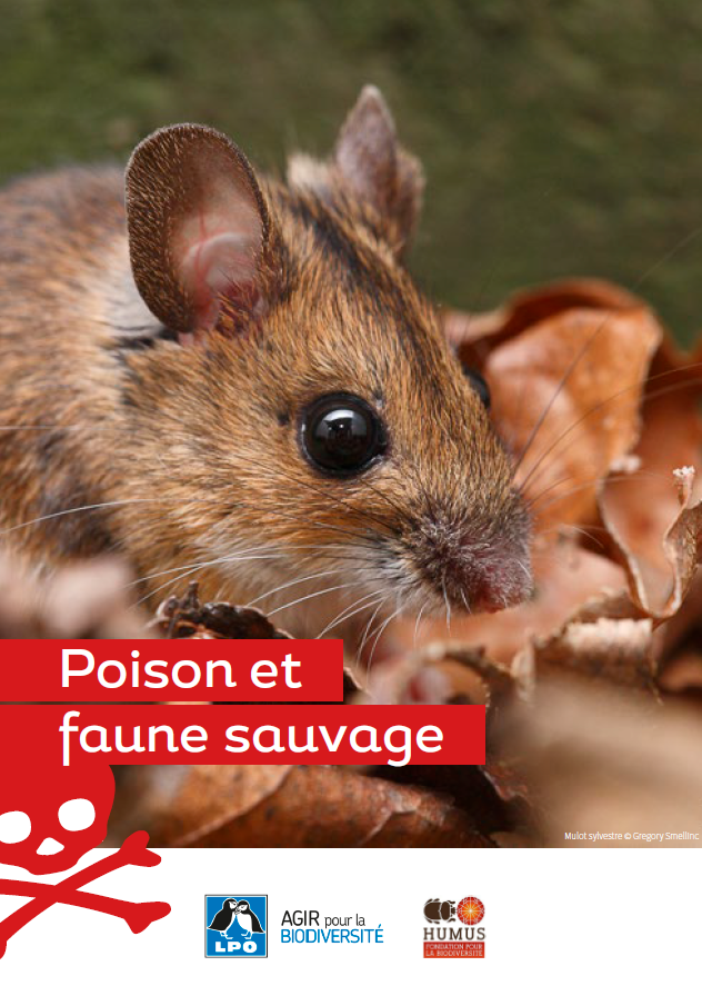Poison et faune sauvage